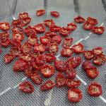 tomato2.jpg
